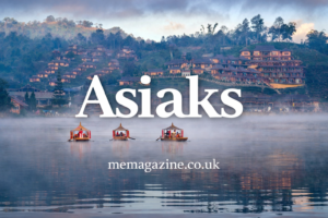 Asiaks Meaning: What It Is, Origins, and Why It’s Trending in Branding & SEO