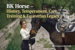 BK Horse – History, Temperament, Care, Training & Equestrian Legacy