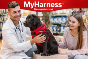 MyHarness: From Pet Safety to Personal Growth Tools