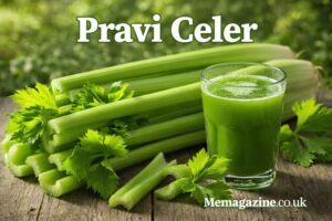 Pravi Celer: The Ultimate Guide to Nutrition, Wellness, and Exclusive Experiences